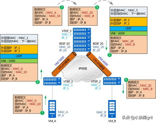 三層VNI VXLAN 網絡工程師你真的理解VXLAN技術嗎？原來二層網絡可以這么玩！